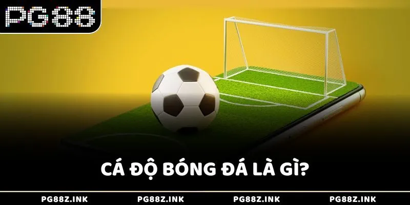 Cá độ bóng đá là gì?