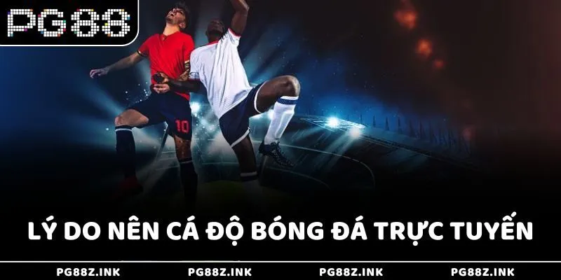 Lý do nên cá độ bóng đá trực tuyến